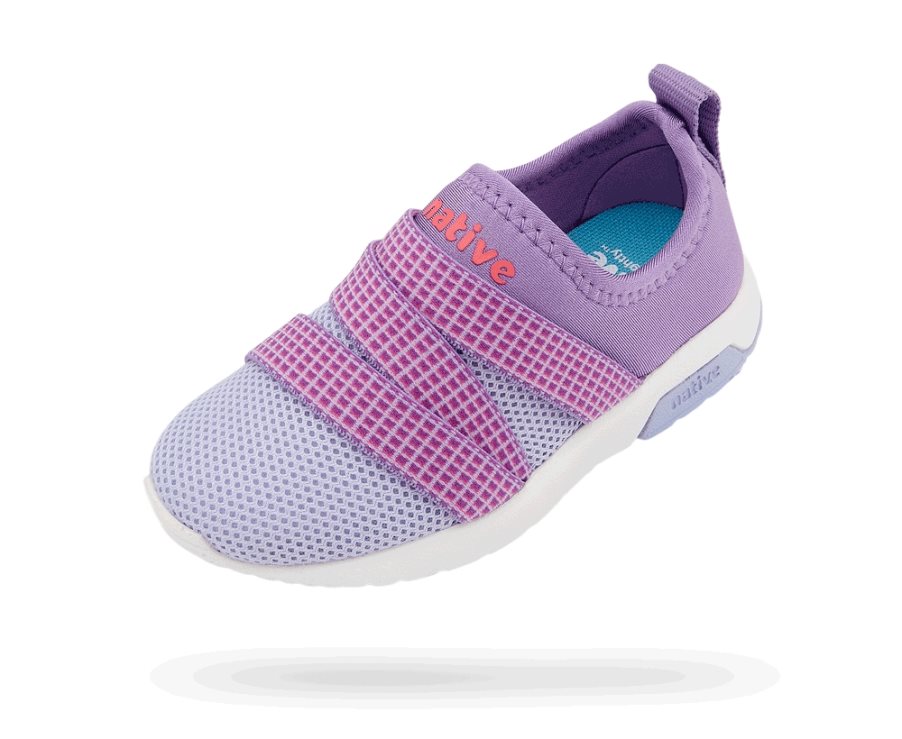 Native Phoenix Sneakers Mädchen Lila | NLJTM3149